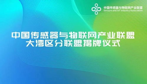 深圳搶位智能賽道, 國字號 聯(lián)盟大灣區(qū)分聯(lián)盟落戶